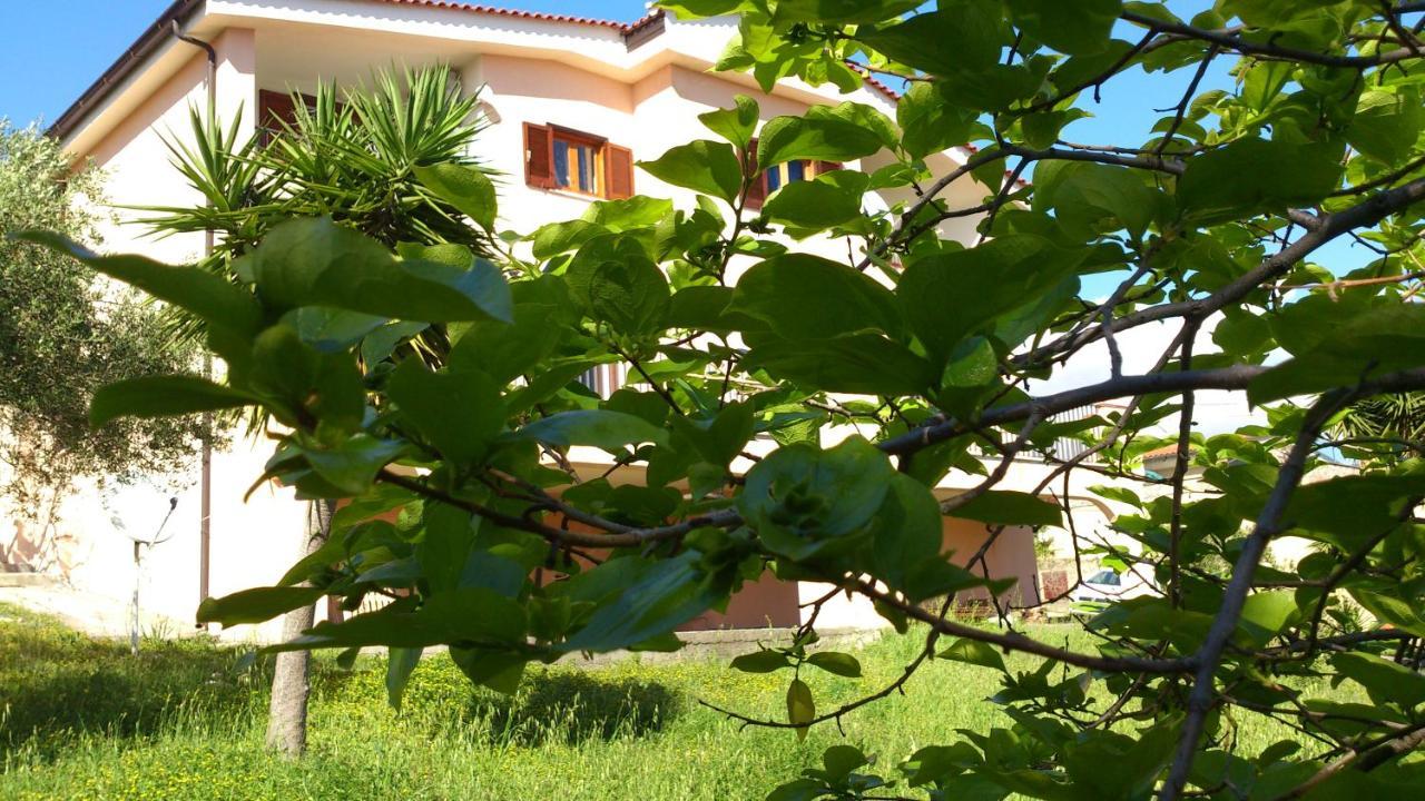 Borgo Marinaro Acomodação com café da manhã Marina di Camerota Exterior foto